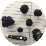 Drying Truffles