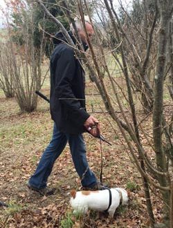 Truffle-hunter-with-truffle-dog