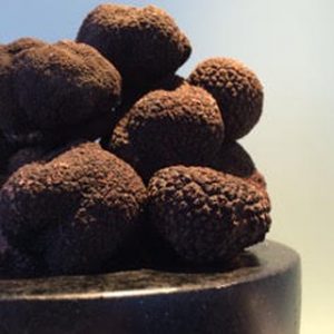 Black Perigord truffles piled in a black marble bowl