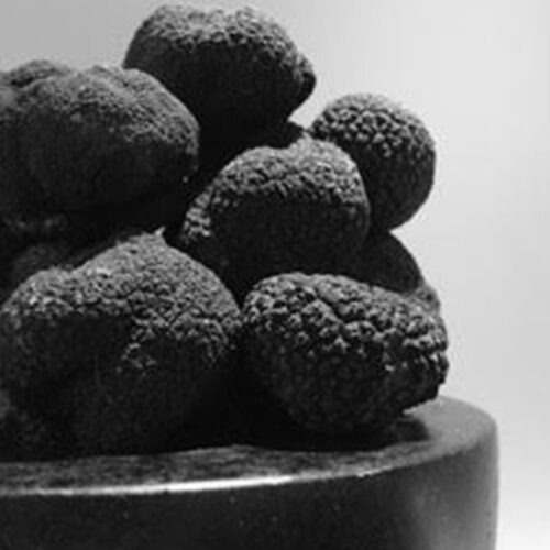Black Perigord Truffle 10g Ganymede Truffles